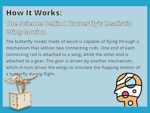Pica Toys Electric Flying Butterfly Wood Working Toy - Science Wood Kits for Kids Ages 8, 9, 10, 11, 12 | 3D Puzzle Craft Wooden Building STEM Projects for Kids Ages 8-12